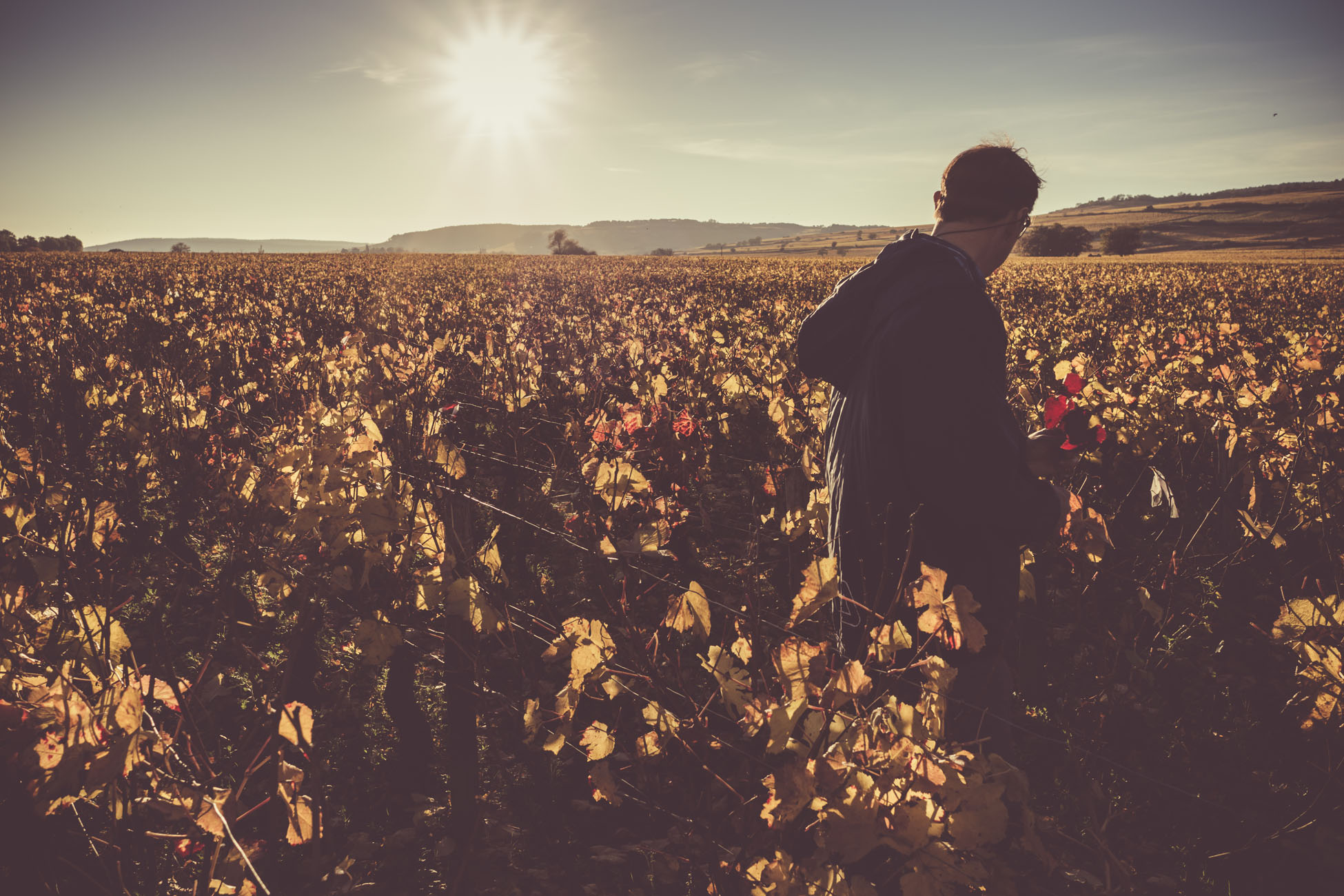 age-verification-impulse-egypt-travels-tours