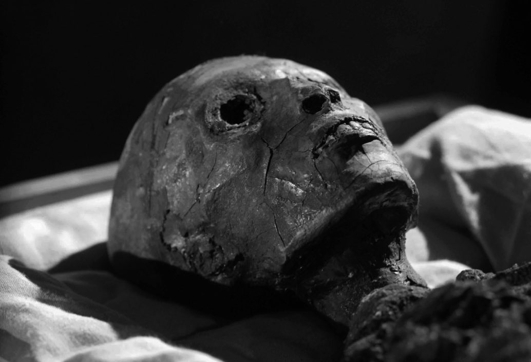 tut Life in Ancient Egypt Akhentanen, the Amarna Period, and Tutankhamun, Barry Kemp & Albert Zink